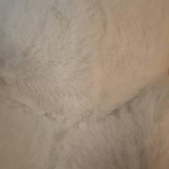Peluche Blanche, ha sido reportado por IKEA Paris Nord Roissy con iLost