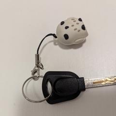 Keys, ha sido reportado a iLost
