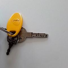 Clé, a été signalé par ilévia utilisant iLost