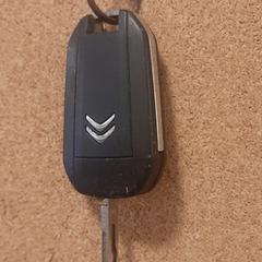 Autosleutels Citroën, iLost에 보고됨