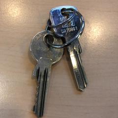 Sleutelbosje, as reported by Jaarbeurs using iLost