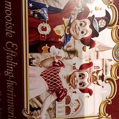 Attractiefoto symbolica, zoals gemeld door De Efteling met iLost