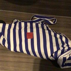 Blauw wit gestreepte tas, as reported by Van der Valk Hotel Zwolle using iLost