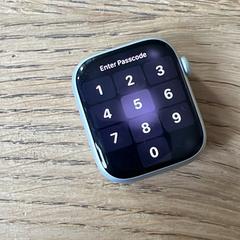 Apple Watch がiLostに報告されました