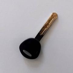 Bicycle key, as reported by 107de 4Daagse using iLost