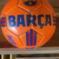 Ball Barca, as reported by Attractie- & Vakantiepark Slagharen using iLost