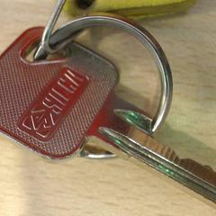 Schlüssel zilver, gemeldet von Walibi Holland über iLost