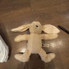 Kuscheltier, gemeldet von Van der Valk Hotel Gorinchem über iLost