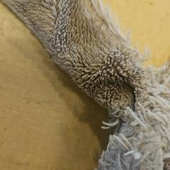 ぬいぐるみ がiLostで Avonturenboerderij Molenwaard によって報告されました