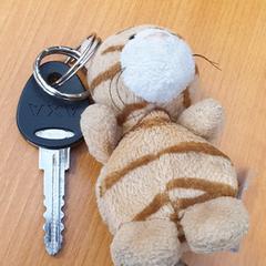 Sleutel, gemeldet von Syntus Twente über iLost