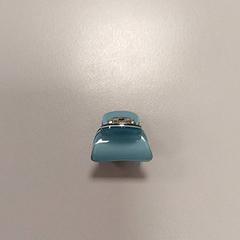 Hair clip, as reported by Vrije Universiteit Amsterdam using iLost