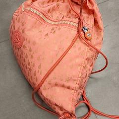 Bolsa de ginástica Roze, como reportado por Regio Oost-Vlaanderen utilizando o iLost