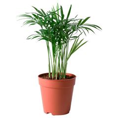 IKEA-produkt, gemeldet von IKEA Grenoble über iLost