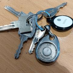 Nøkkelring +tag van bedrijf oid, som rapportert av Gemeente Gooise Meren ved bruk av iLost