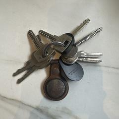 Sleutelbos, jak bylo nahlášeno na iLost