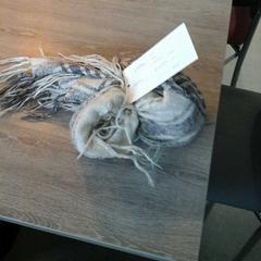 Sjaal, ha sido reportado por Connexxion Gooi en Vechtstreek usando iLost