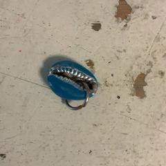 Earring Schelp blauw, as reported by Artis using iLost