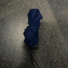 Paraplu Blauw, zoals gemeld door Jaarbeurs met iLost