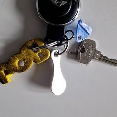 Portachiavi Autosleutel Mini, come riportato da Gemeente Roermond utilizzando iLost