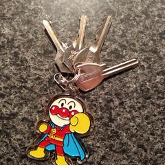 sleutelbos met sleutelhanger، كما تم الإبلاغ عنه عبر iLost