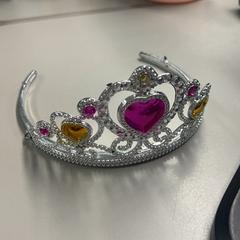 Tiara, as reported by Burgers' Zoo using iLost