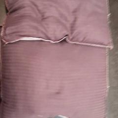 Pillow, as reported by Rotterdam The Hague Airport using iLost