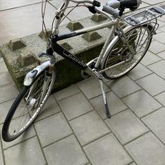 Fiets, come riportato a iLost