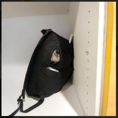 Black backpack, jak bylo nahlášeno na iLost
