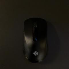 Souris Black, a été signalé par MEININGER Hotel Dresden Zentrum utilisant iLost
