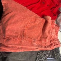 Blouse en broek, segons ha informat Haven Hotel Rotterdam mitjançant iLost