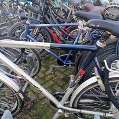 Gazelle herenfiets, gerapporteerd met iLost