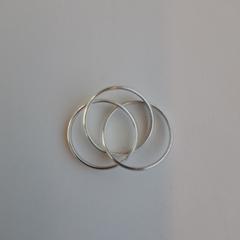 3 zilverkleurige ringen in elkaar, segundo informou a iLost