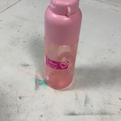 Fľaša na vodu Roze, baby, ako bolo nahlásené Artis pomocou iLost