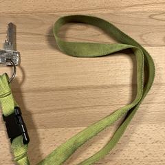 Keys with green key cord, as reported to iLost