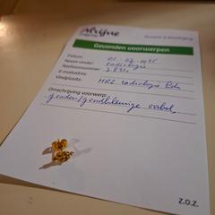 Belarritakoa goudkleurig, gisa salatu by Alrijne Leiden iLost erabiliz