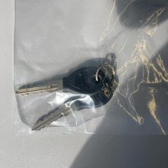 Bicycle keys, as reported by Zwarte Cross using iLost