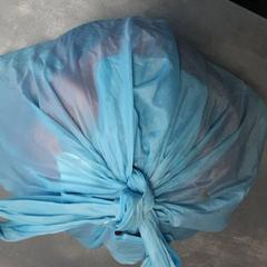 Poltsa Blauw, gisa salatu by Arriva Friesland / Groningen iLost erabiliz