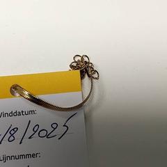 Juwelen Armband, gemeldet von Centraal magazijn über iLost