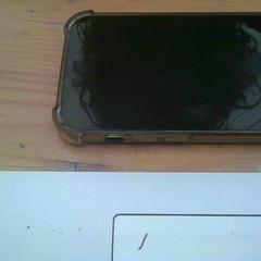Smartphone iPhone, ha sido reportado por Pukkelpop Festivalterrein con iLost