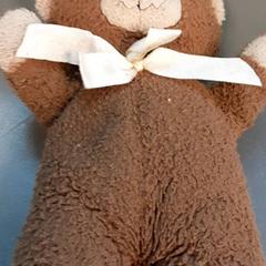 Peluche, como reportado por Diergaarde Blijdorp utilizando o iLost