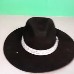 Cappello, come riportato da Diergaarde Blijdorp utilizzando iLost