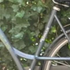 damesfiets batavus, como reportado ao iLost