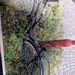 Bicicletta xtract Paars, come riportato da Gemeente Roermond utilizzando iLost