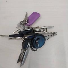 Keychain, as reported by Arriva Limburg Zuid using iLost