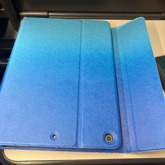 iPad, gerapporteerd met iLost