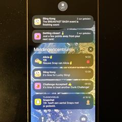 iPhone 12 (?), som rapportert til iLost