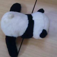 Peluix panda, segons ha informat Het Spoorwegmuseum mitjançant iLost