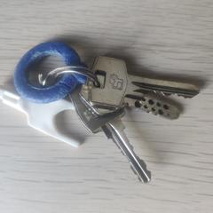 Keys, som rapporterats till iLost