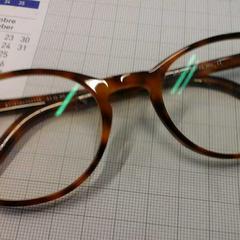 Bril, as reported by Connexxion Haaglanden Den Haag using iLost