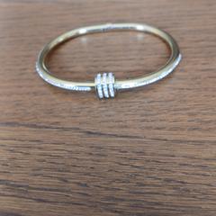 Armband, como reportado ao iLost
